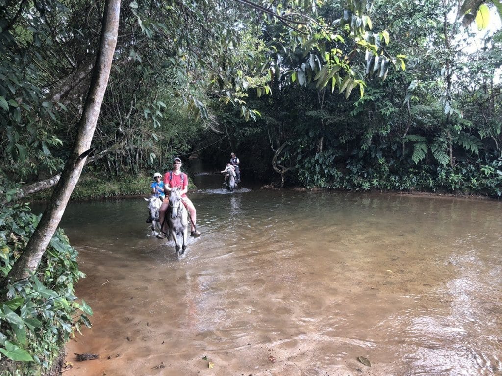 Experiencias en el llano