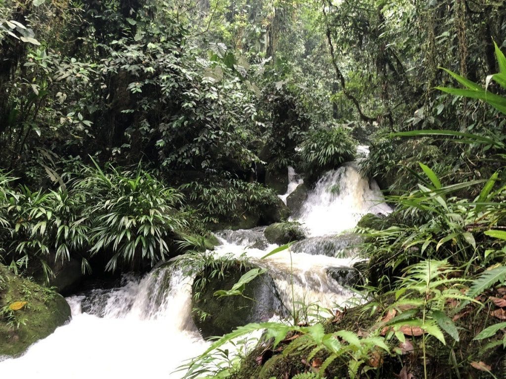 Experiencias en el llano