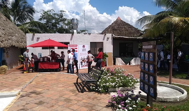 Eventos en Arboretto